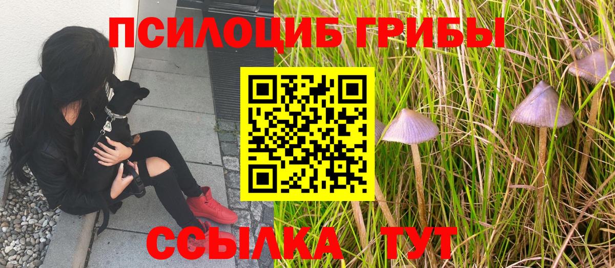 Острогожск  Псилоцибиновые грибы MAGIC MUSHROOMS  Вход с VPN 